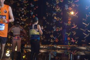 BIB: 693
                            <button type="button" onclick="openModal(18286194)" class="btn btn-primary btn-sm float-right btn-popup" data-toggle="modal" data-target=".modal-high-quality">
                        <i class="fas fa-shopping-cart"></i> Add to Cart
                    </button>
                                            <button type="button" onclick="isThisMe(18286194, true)" class="btn btn-success btn-sm float-right btn-popup btn-isme hidden" data-toggle="tooltip" data-placement="bottom" title="นี่คือรูปของคุณใช่ไหม คลิกที่นี่เพื่อเอาเข้าอัลบั้ม">
                        <i class="fas fa-plus"></i> Add to album
                    </button>
                    <button type="button" onclick="isThisMe(18286194, false)" class="btn btn-warning btn-sm float-right btn-popup btn-isnotme hidden">
                        <i class="fas fa-ban"></i> Remove from album
                    </button>